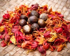 Red Mace Flower for sale in Idukki