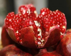 Bhagwa Pomegranate for sale in Solapur