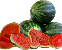 Simba Watermelon required in South Goa