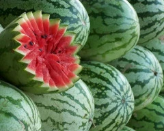 Melody Watermelon for sale in Jalgaon
