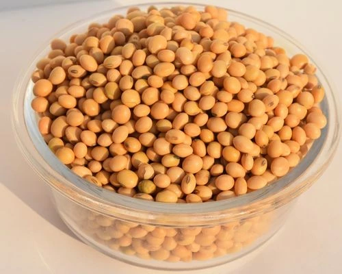 Buy JS 2303 Soyabean from Parbhani, Maharashtra at Wholesale Price of ...