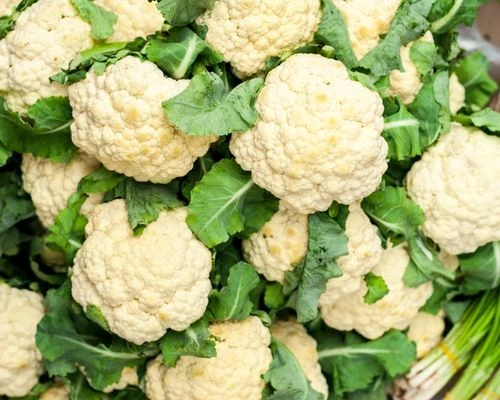 Buy Normal Cauliflower from Hardoi, Uttar Pradesh at Wholesale Price of ...