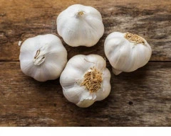 A Grade Quality Garlic required in Shamli