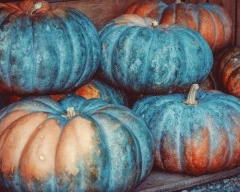 EW 137 f1 Pumpkin for sale in Mayurbhanj