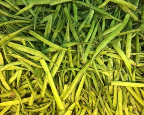 Buy Normal Cluster Beans from Bikaner, Rajasthan at Wholesale Price of ...