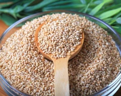 A Grade Quality Sesame for sale in Dausa