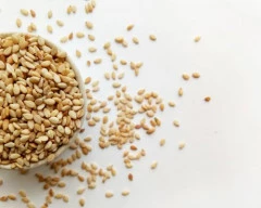 A Grade Quality Sesame required in Panna