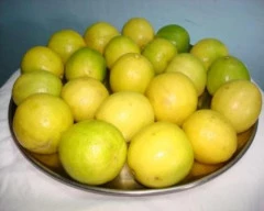 A Grade Quality Lemon for sale in Aurangabad