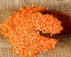 Indian Masoor Dal for sale in Ahmedabad