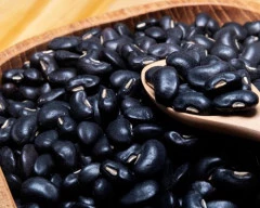 Black Urad required in Basti