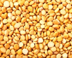 Indian Tur Dal required in Tiruvannamalai