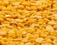 Indian Tur Dal for sale in Lucknow