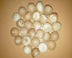 Dried Arecanut required in Banka