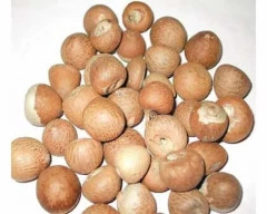 Jam Arecanut required in Parbhani