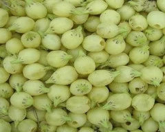 Flowers Mahua required in Deoghar
