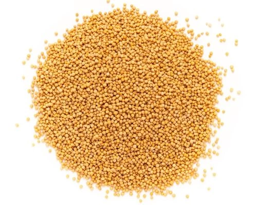 Yellow Mustard required in Pauri Garhwal, Uttarakhand - commodityonline