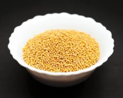 Yellow Mustard required in Ludhiana