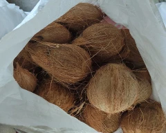 Medium Coconut for sale in West Godavari