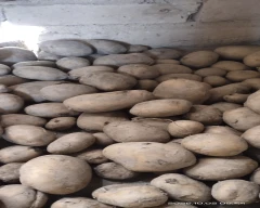 Jyoti Potato for sale in Purba Burdwan