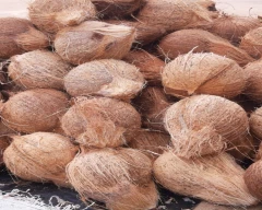 Large Coconut for sale in Chennai