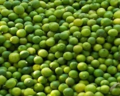 A Grade Quality Lemon for sale in Chennai