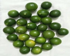 A Grade Quality Lemon for sale in Ballia