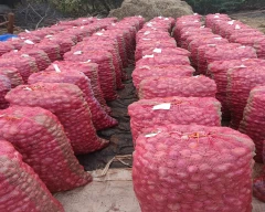 B Grade Quality Onion for sale in Davangere