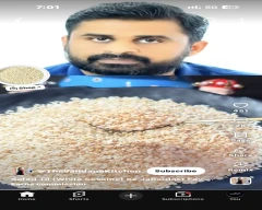 A Grade Quality Sesame for sale in Karauli