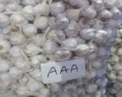 A Grade Quality Garlic required in Chennai