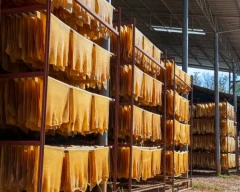 Normal Rubber for sale in Gomati